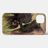 サバンナのインドのアジアゾウ家族 Case-Mate iPhoneケース (裏面 (横))