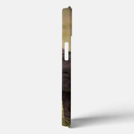 サバンナのインドのアジアゾウ家族 Case-Mate iPhoneケース (裏面 / 右)