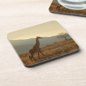 サバンナのキリン コースター (左側)