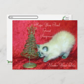 サバンナのクリスマスサプライズ – Balinese Cat ポストカード (正面/裏面)