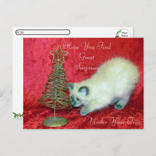 サバンナのクリスマスサプライズ – Balinese Cat ポストカード (正面/裏面)
