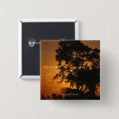 サバンナのサンセットボタン 缶バッジ (正面&裏面)