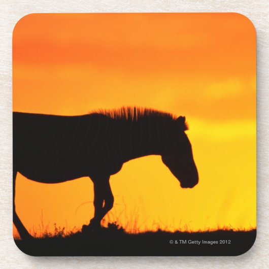 サバンナのシマウマのシルエット コースター (正面)