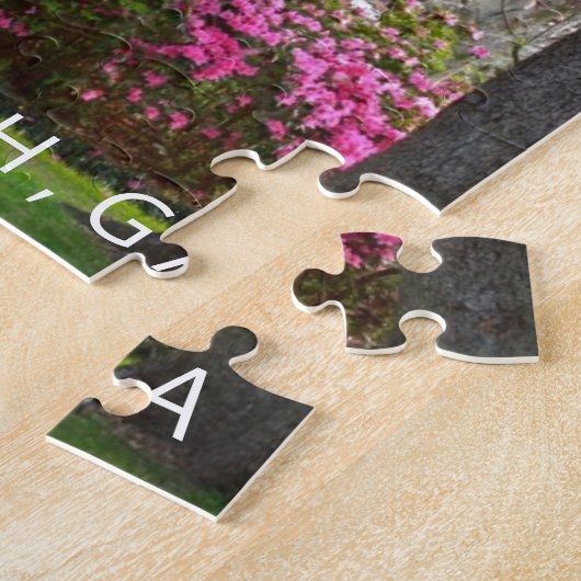 サバンナのジョージア| Forsyth公園の春のツツジ ジグソーパズル (側面)