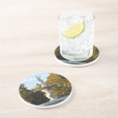 サバンナのジョージアForsyth公園の噴水 コースター (側面)