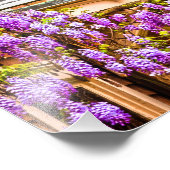 サバンナのヴィンテージサザンホームの藤 フォトプリント (角)