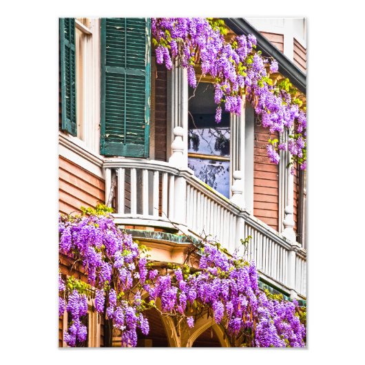 サバンナのヴィンテージサザンホームの藤 フォトプリント (正面)