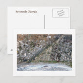 サバンナの壁 ポストカード (正面/裏面)