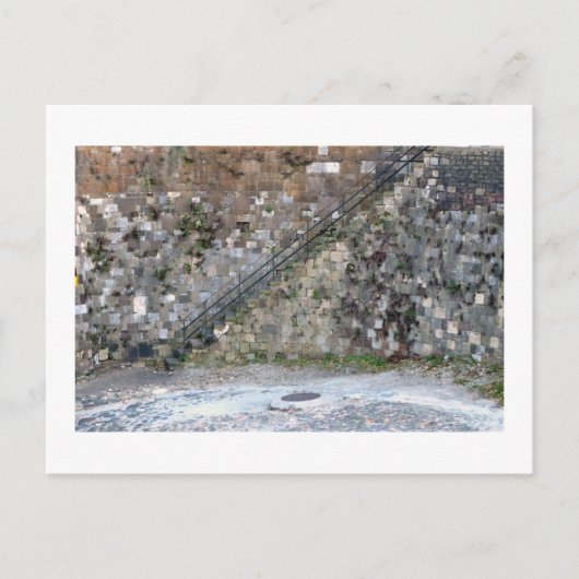 サバンナの壁 ポストカード (正面)