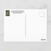 サバンナの手を振る少女モニュメント写真 ポストカード (裏面)