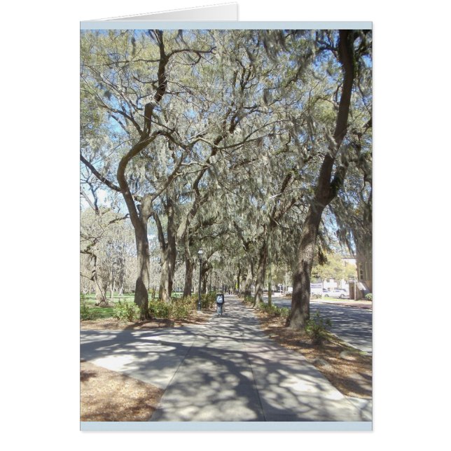 サバンナの春 (正面)