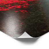 サバンナの春 フォトプリント            (角)