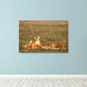サバンナの獅子 キャンバスプリント (インサイチュ (ウッドフロア))