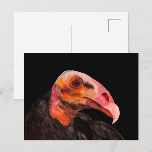 サバンナの禿頭 ポストカード (正面/裏面)