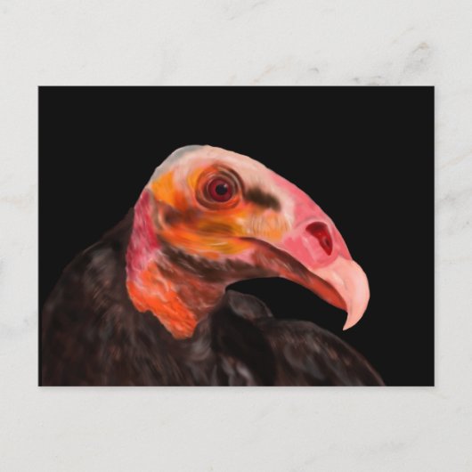 サバンナの禿頭 ポストカード (正面)