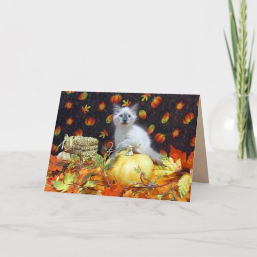 サバンナの秋/感謝祭カード シーズンカード (正面)