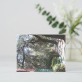 サバンナの苔 ポストカード (スタンド正面)