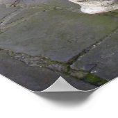 サバンナガルゴイレフレームプリント ポスター (角)