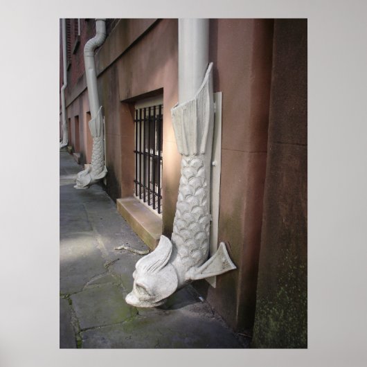 サバンナガルゴイレフレームプリント ポスター (正面)