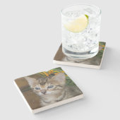 サバンナキャットスクエアコースター ストーンコースター (横)