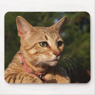 サバンナキャットマウスパッド マウスパッド