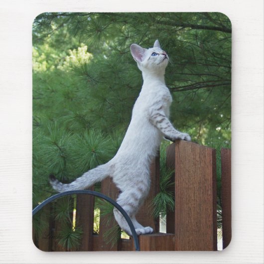 サバンナキャットマウスパッド マウスパッド (正面)