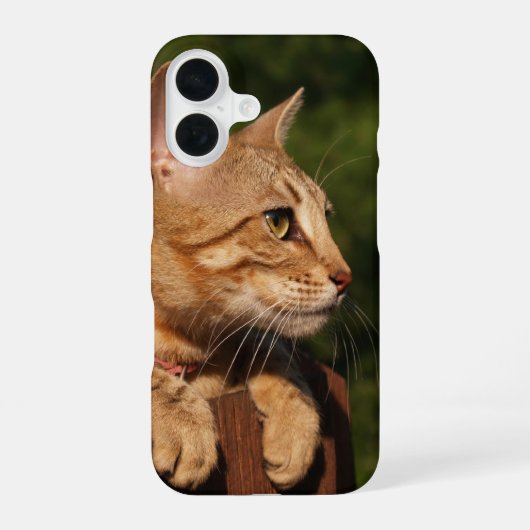 サバンナキャット iPhone カー 16ケース (裏面)