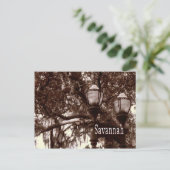 サバンナグルジア ポストカード (スタンド正面)