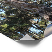 サバンナシリーズ：ボナベンチャー墓地エンジェル ポスター (角)