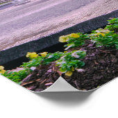 サバンナジョージアフォーサイスパークファウンテン ポスター (角)