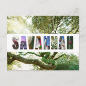 サバンナジョージア南部ライブオークの木 ポストカード (正面)