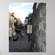 サバンナバック通り