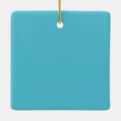 サバンナビーチグリーティングポストカードオーナメント セラミックオーナメント (裏面)