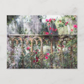 サバンナポストカードローレルグローブ ポストカード (正面)