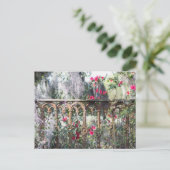 サバンナポストカードローレルグローブ ポストカード (スタンド正面)