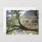 サバンナモッシー大聖堂 ポストカード (正面/裏面)