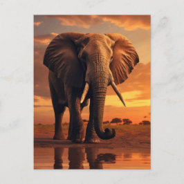 サバンナース陛下 ポストカード