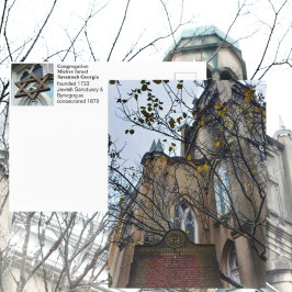 サバンナ会議ミッケヴイスラエル写真 ポストカード