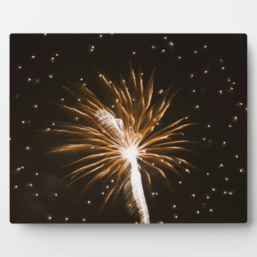 サバンナ川の花火大会 フォトプラーク (正面)