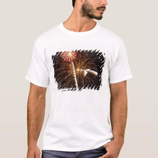 サバンナ川の花火大会 Tシャツ (正面)
