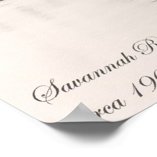 サバンナ川 ポスター (角)