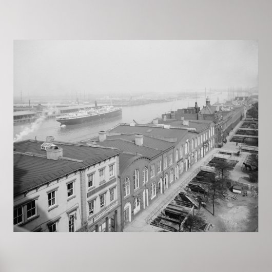 サバンナ川 ポスター (正面)