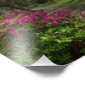 サバンナ州フォーサイス公園の春 フォトプリント            (角)