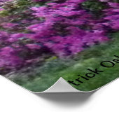 サバンナ広場の開花 ポスター (角)