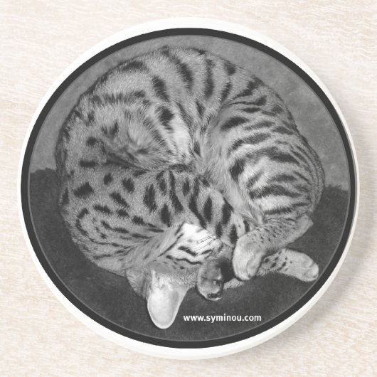 サバンナ猫のコースター コースター (正面)