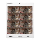 サバンナ猫の出荷ラベル ラベル (フルシート)