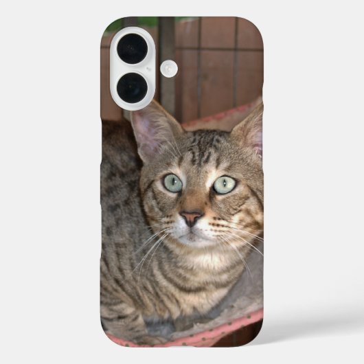 サバンナ猫の電話ケース Case-Mate iPhoneケース (裏面)