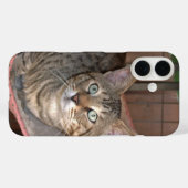 サバンナ猫の電話ケース Case-Mate iPhoneケース (裏面 (横))
