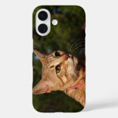 サバンナ猫の電話ケース Case-Mate iPhoneケース (裏面)