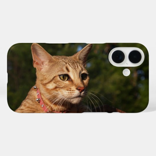 サバンナ猫の電話ケース Case-Mate iPhoneケース (裏面 (横))